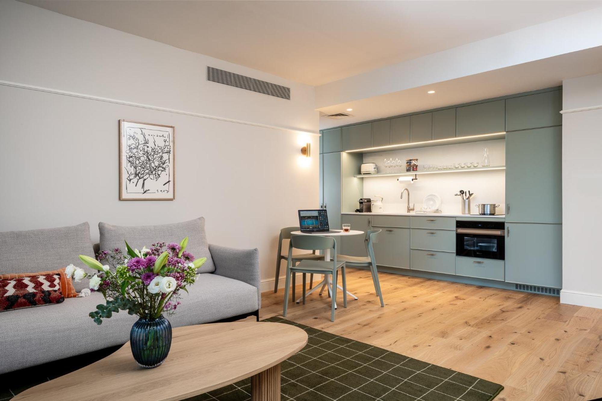 One-Bedroom Apartment Sofabed