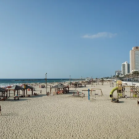 Reines5 Tlv-2
